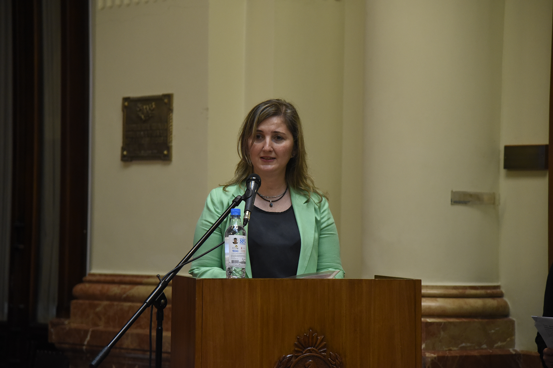 Galeria de imagenes de la noticia DERRIBANDO BARRERAS: EMOTIVO HOMENAJE A ATLETAS DEL DESAFÍO SUMMIT ACONCAGUA 2018